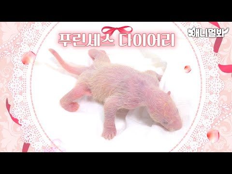 2024. 02. 22.  Youtube 인기 동영상 TOP 5
