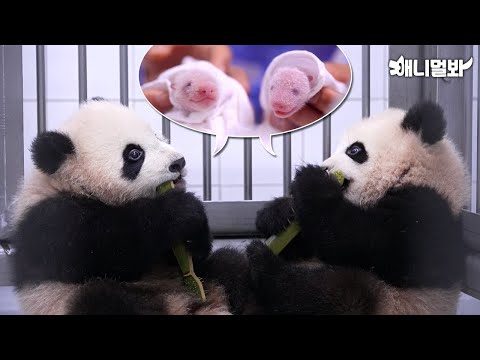 2024. 02. 23.  유튜브 인기 동영상 TOP 5