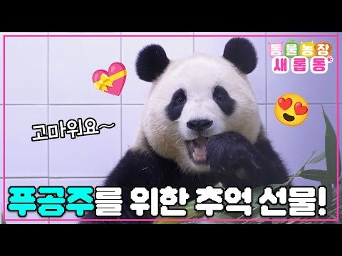 02월 27일 금일의 유튜브 동영상 TOP 5