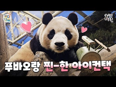 03월 09일 오늘의 유튜브 동영상 TOP 5