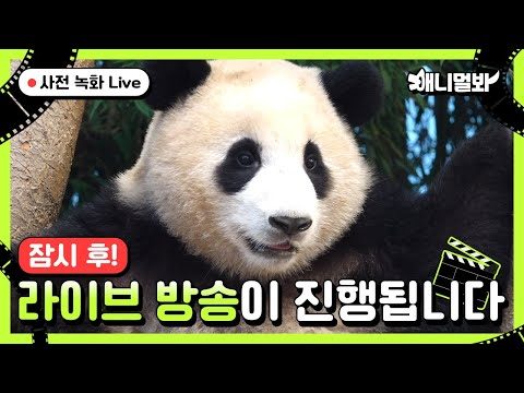 2024. 04. 04.  Youtube 인기 동영상 TOP 5