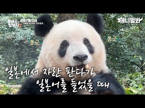 04월 06일 금일의 Youtube 동영상 TOP 5