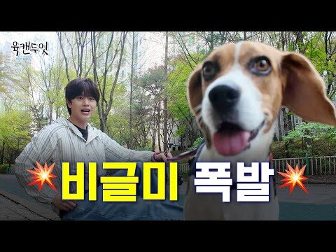 2024. 04. 28. 금일의 유튜브 뜨는 동영상 TOP 5