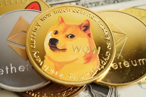 도지코인, 일주일 새 40% 급등…DOGE 주소 수 620만개 돌파:코인리더스