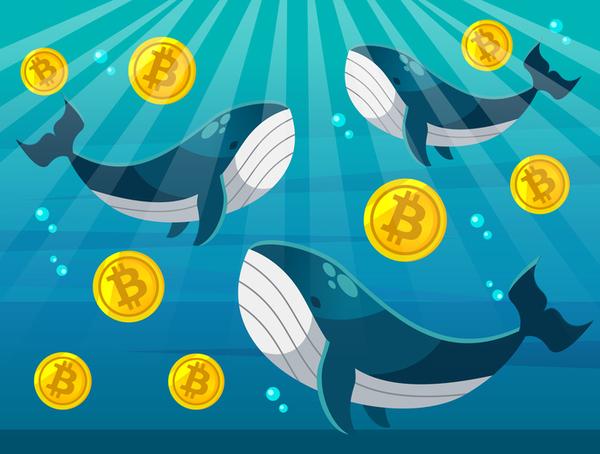 CPI 악재에도 비트코인 고래 저가매수 나서…˝美 부채 증가, BTC 10만달러 견인˝ 전망도:코인리더스