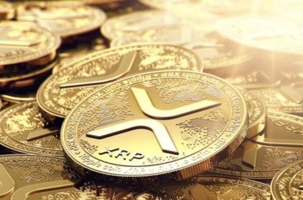 국내 투자자 57% ˝이번주 비트코인 강세 전망˝…41% ˝美 현물 ETF, 다음 타자는 리플˝:코인리더스
