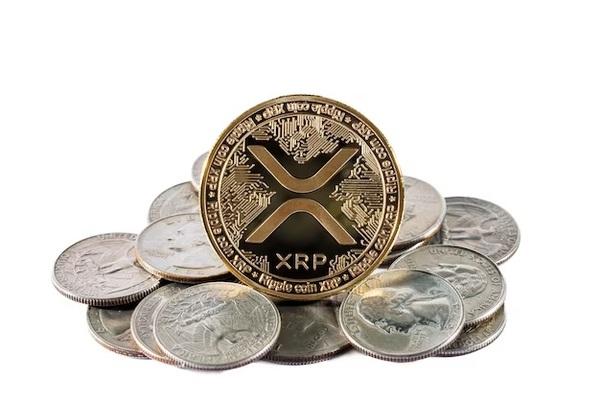 비트코인 하락 속 XRP 0.50달러선 간신히 유지…리플 CEO ˝SEC 규제 성공하지 못할 것˝:코인리더스