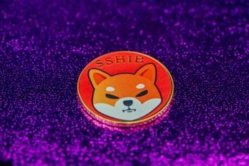 시바이누(SHIB), 중요한 브레이크아웃 지점 재시험…폭발적 랠리 가능성 관측:코인리더스