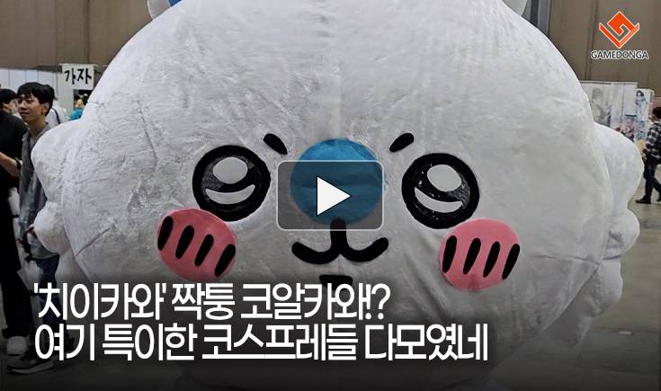 [동영상] ‘치이카와’ 짝퉁 코알카와!? 여기 특이한 코스프레들 다모였네