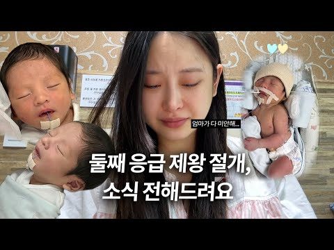 2024. 07. 14. 금일의 유튜브 뜨는 동영상 TOP 5