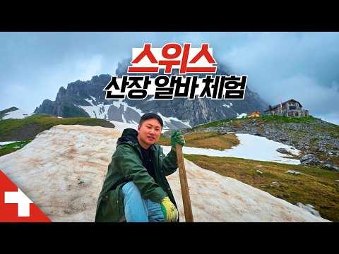 08월 01일 오늘의 Youtube 동영상 TOP 5