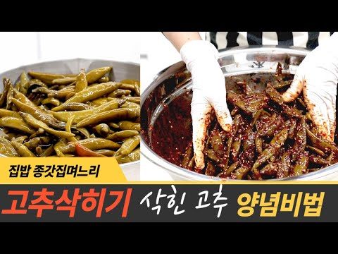 10월 02일  Youtube 동영상 TOP 5