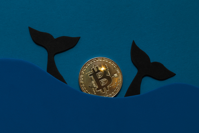 ˝14년 만에 깨어난 비트코인 고래 지갑˝…1억6천만% 수익률로 BTC 이동:코인리더스