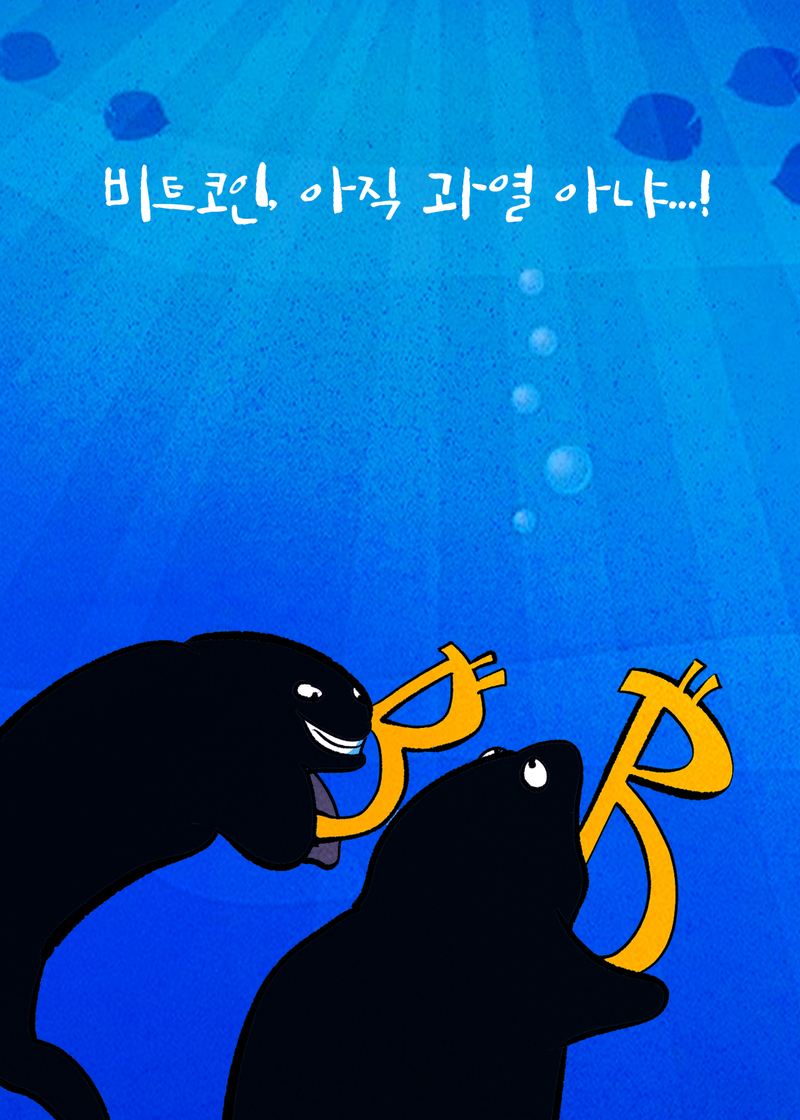 [코툰] ˝비트코인, 아직 과열 아냐˝:코인리더스