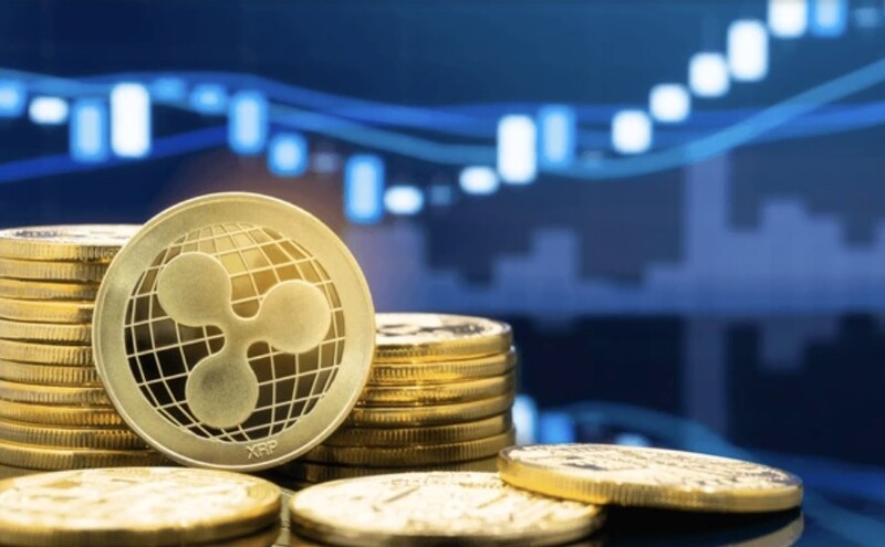 XRP 사이클 최고점, 5월 또는 9월에 도달할까?:코인리더스
