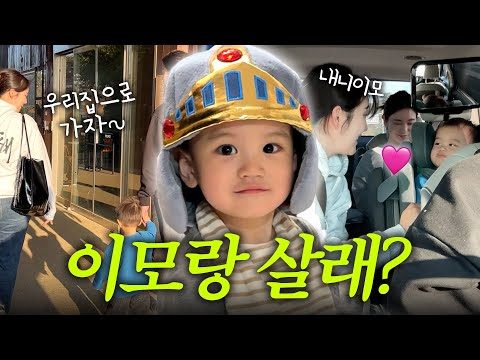 2024. 11. 12.  유튜브 인기 동영상 TOP 5