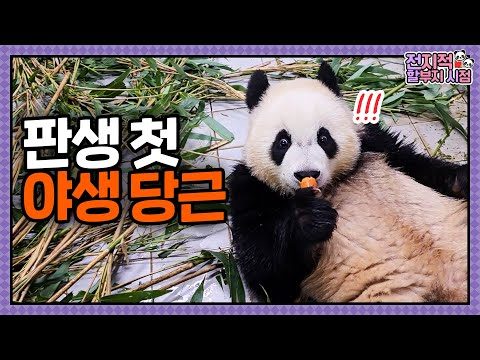 2024. 11. 19.  유튜브 뜨는 동영상 HOT 5
