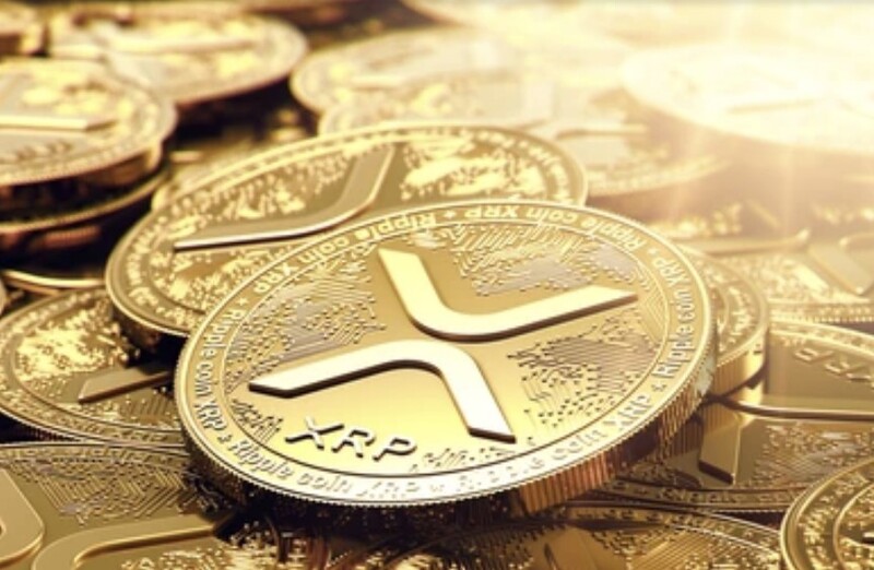 리플(XRP), 규제 낙관론 속 1달러 도전…고래와 기관 투자 집중:코인리더스
