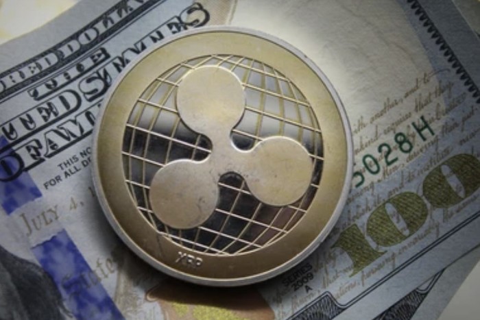 XRP 3만 9,624% 급등 역사…10년 후 목표는 1,000달러?:코인리더스