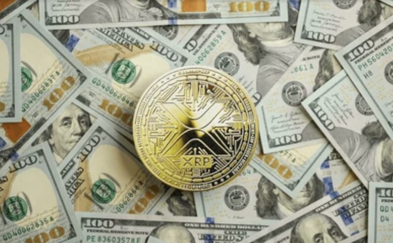 왜 기관투자자 57%가 XRP·솔라나에 주목할까?