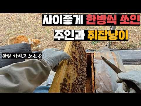 2025. 03. 10. 오늘의 유튜브 뜨는 동영상 TOP 5