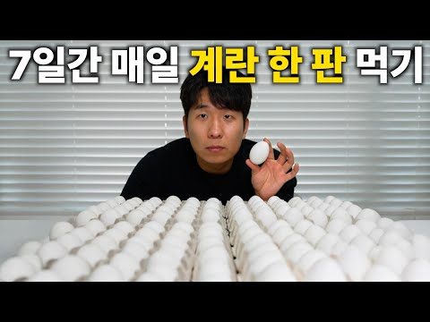 금일의 유튜브 HOT 5 – 2025. 03. 17.