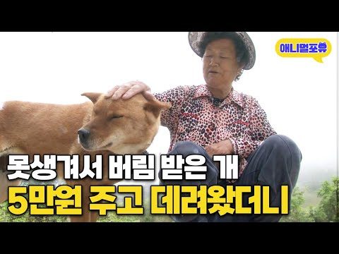 03월 25일 오늘의 Youtube 동영상 TOP 5