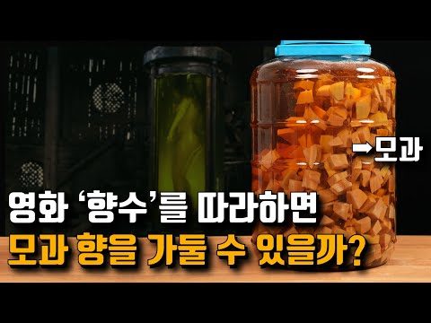 2025. 03. 31.  유튜브 뜨는 동영상 HOT 5