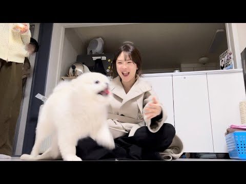 2025. 04. 01. 금일의 Youtube 인기 동영상 HOT 5